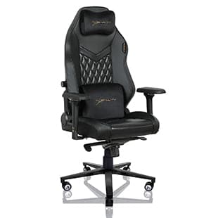 E-WIN Champion Upgraded Series Ergonomic Computer Gaming Office Chair with Pillows - CPF-REV