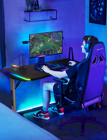 A Gaming Desk and PC