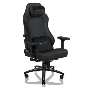 E-WIN Flash XL Size Upgraded Series Ergonomic Computer Gaming Office Chair with Pillows-FLF-XL-REV