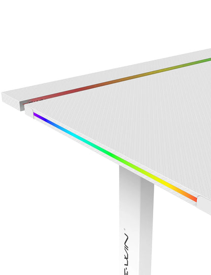 E-WIN Bravon RGB Full Metal Sit-to-Stand Desk